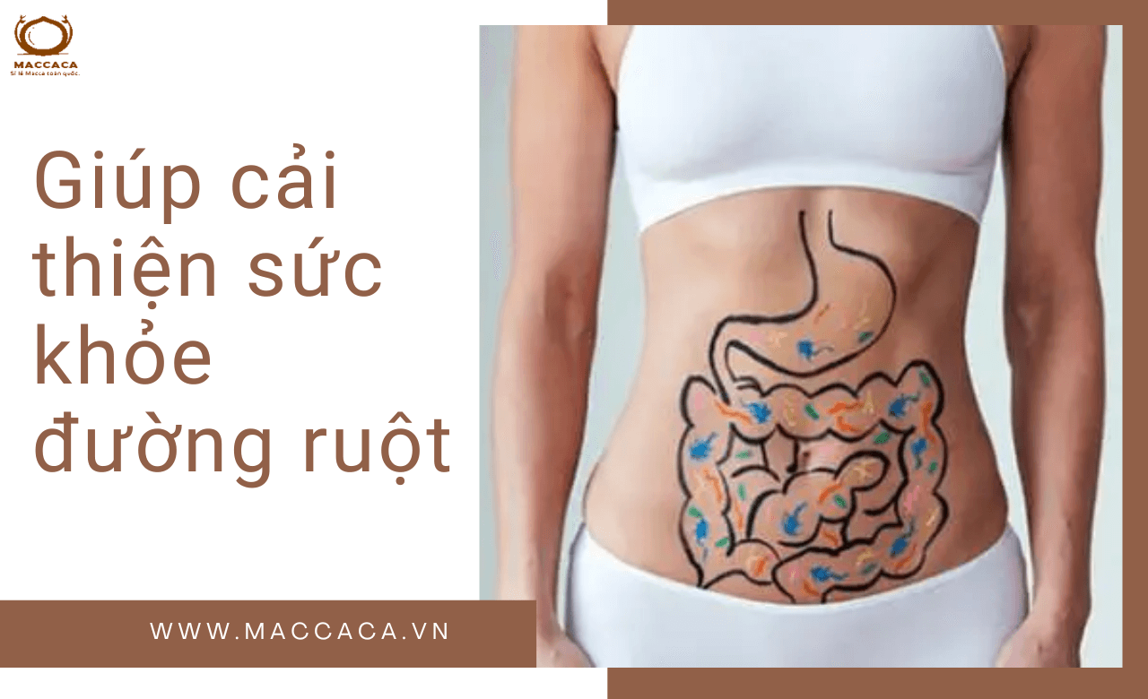 Giúp cải thiện sức khỏe đường ruột