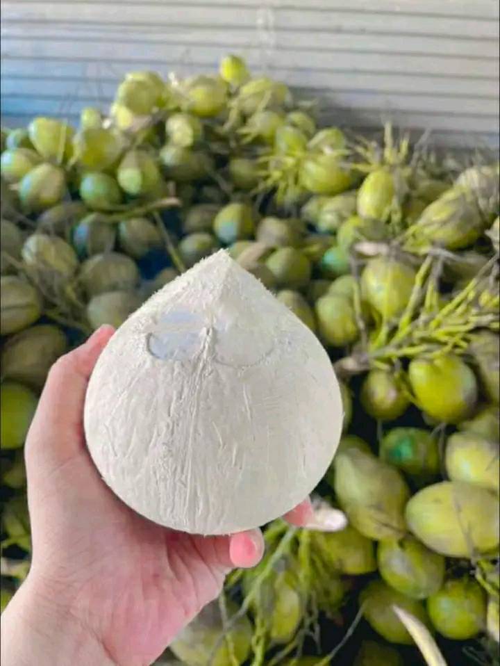 quy trình gọt dừa trọc