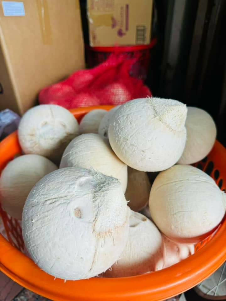 cách bảo quản dừa xiêm trọc