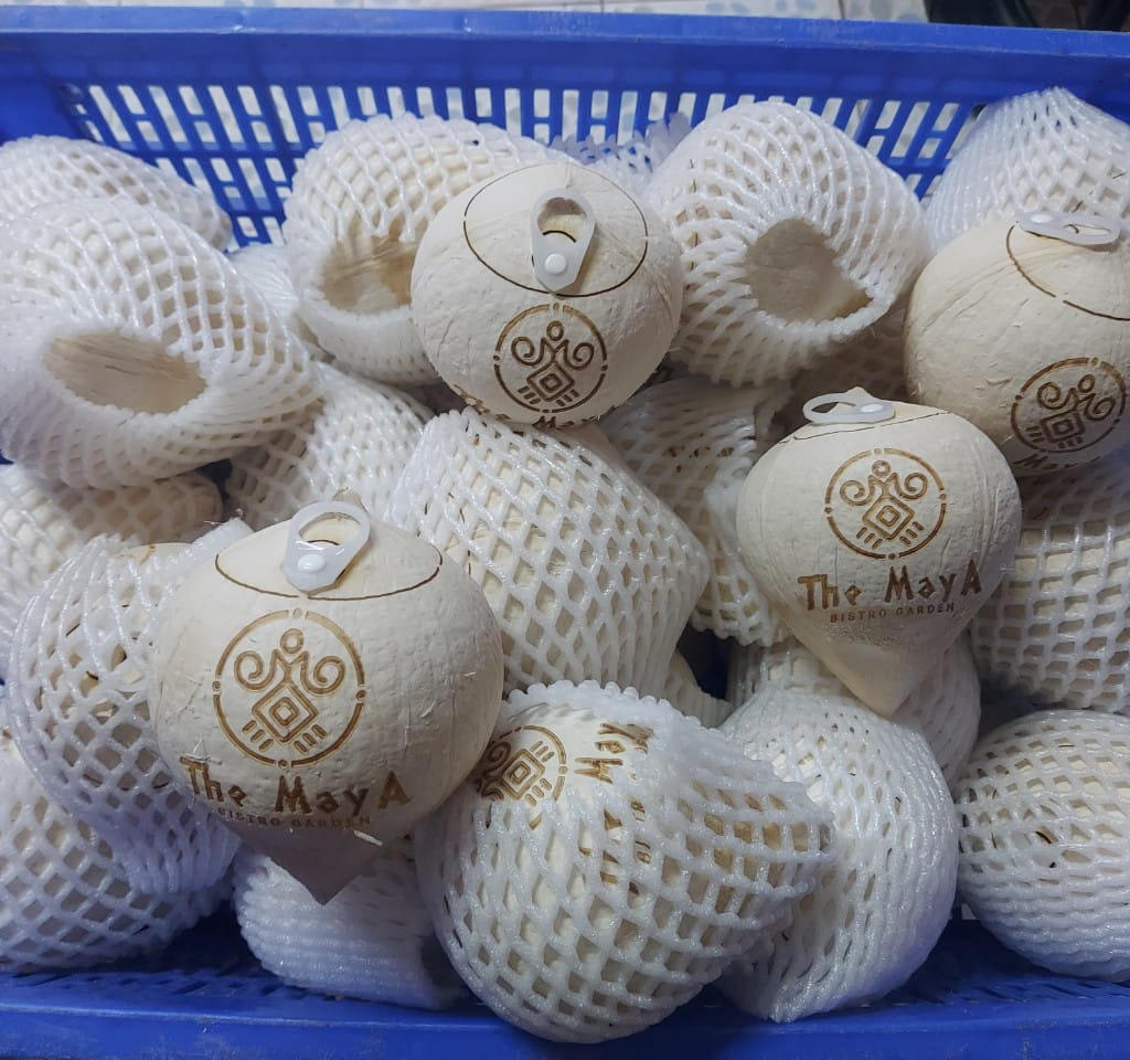 Quy Trình Sản Xuất Dừa Nắp Khoen