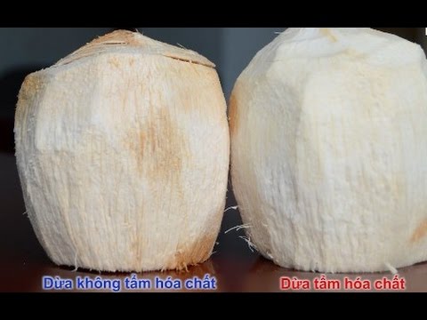 Cách Nhận Biết Dừa Xiêm Trọc Ngâm Hóa Chất Nhanh Nhất