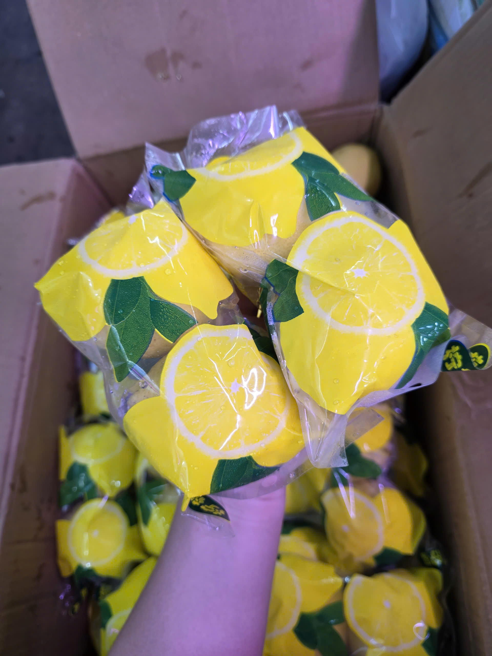 chanh vàng nội địa sỉ