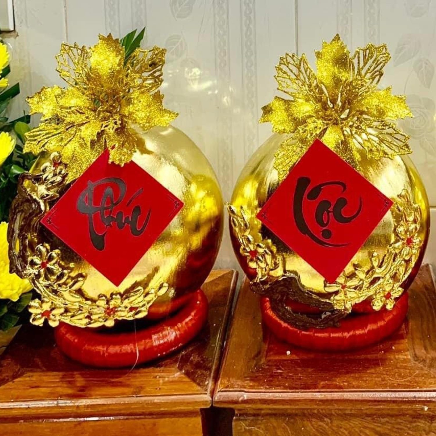 Ưu tiên trưng bày loại dừa này ở nơi khô ráo, thoáng mát