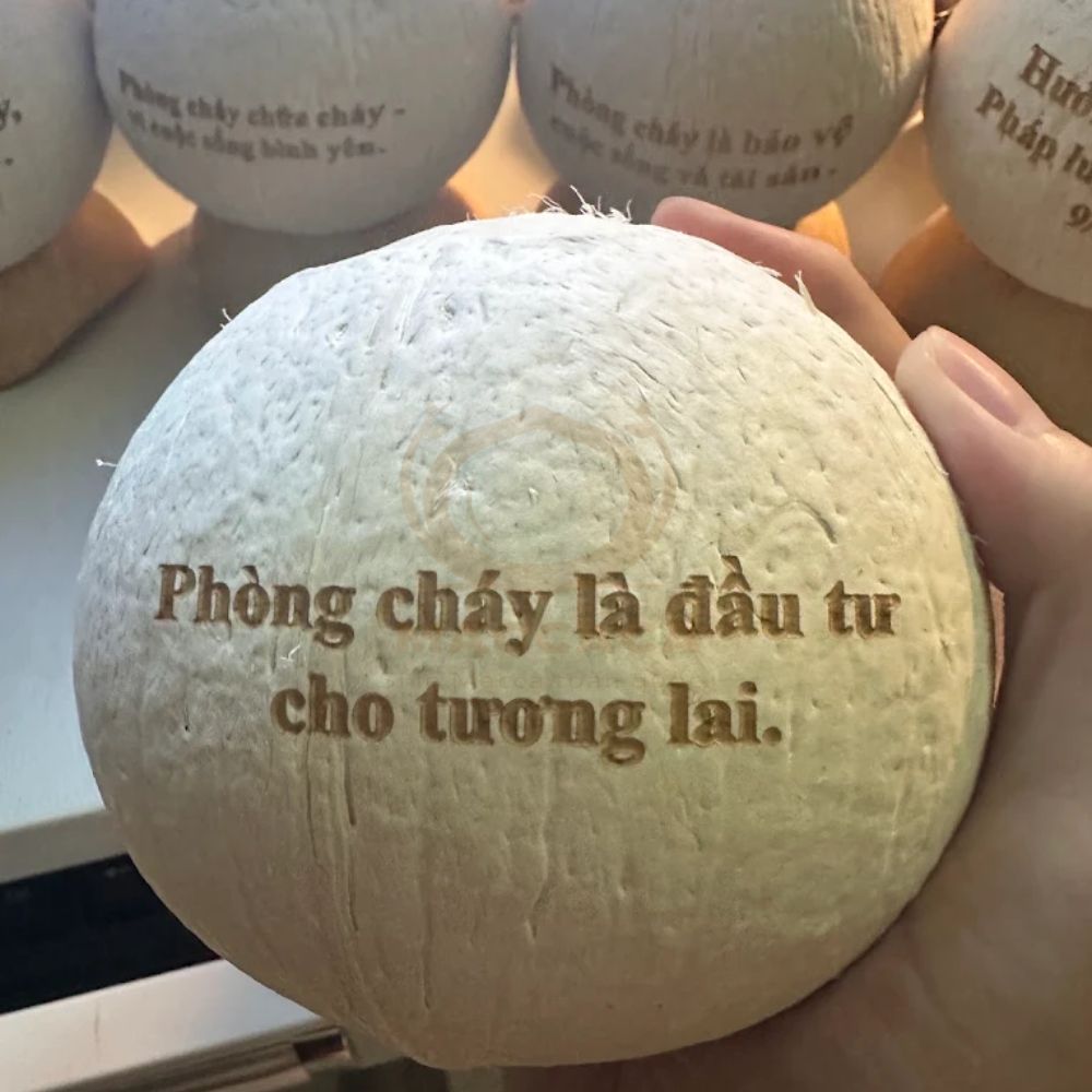 Dừa được tuyển chọn từ vườn, sơ chế sạch, đóng thùng giữ lạnh trước khi vận chuyển bằng chành xe đến Huế Dừa được tuyển chọn từ vườn, sơ chế sạch, đóng thùng giữ lạnh trước khi vận chuyển bằng chành xe đến Huế