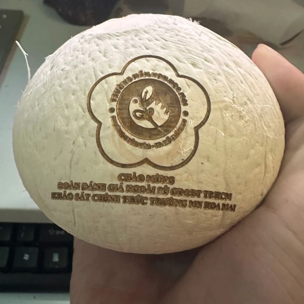 Dừa Bến Tre được tuyển chọn, sơ chế, làm lạnh và đóng gói trước khi vận chuyển đến Hội An