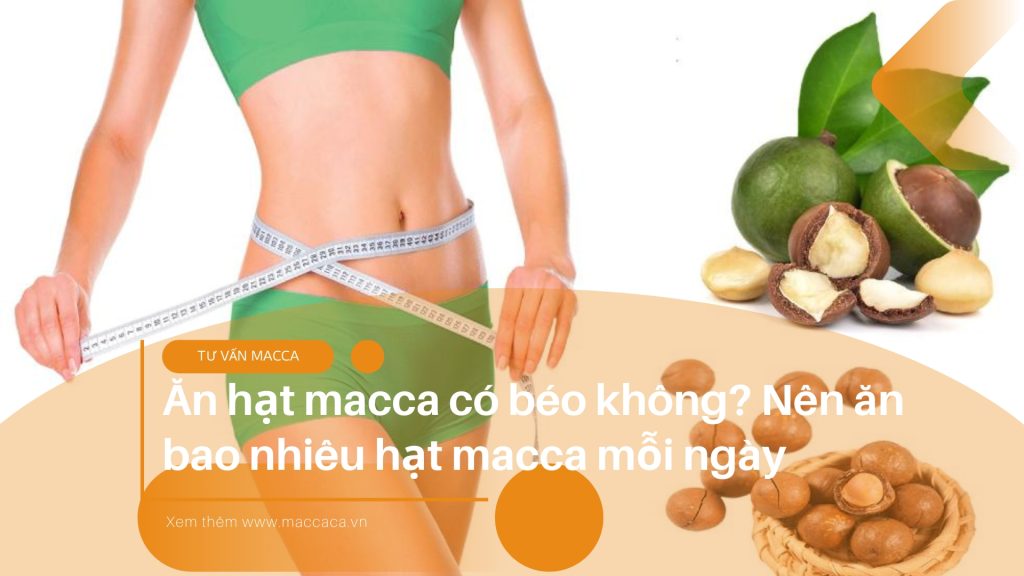 Ăn hạt macca có béo không