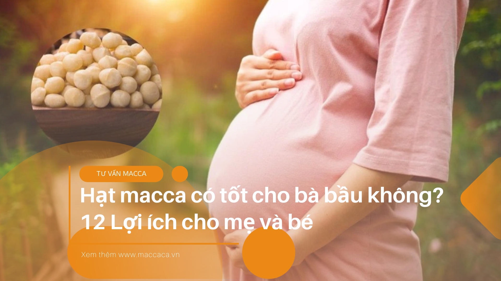 Hạt macca có tốt cho bà bầu không