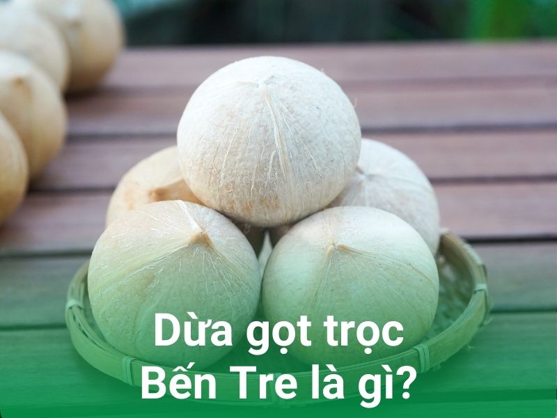 Dừa Trọc Là Gì, Có Gì Khác So Với Dừa Nguyên Xơ