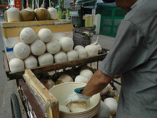 Dừa Xiêm Trọc Ngâm Hóa Chất – Nhận Biết Nhanh Để Tránh Hại Sức Khỏe