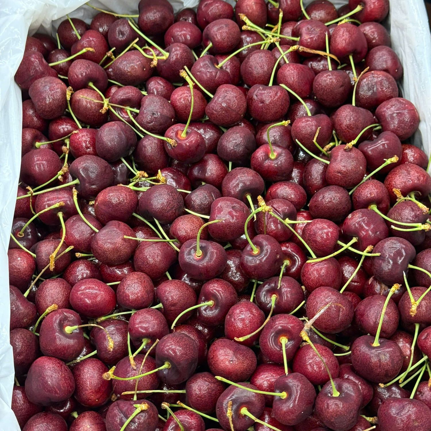 Lưu ý khi bảo quản để trái cherry tươi ngon
