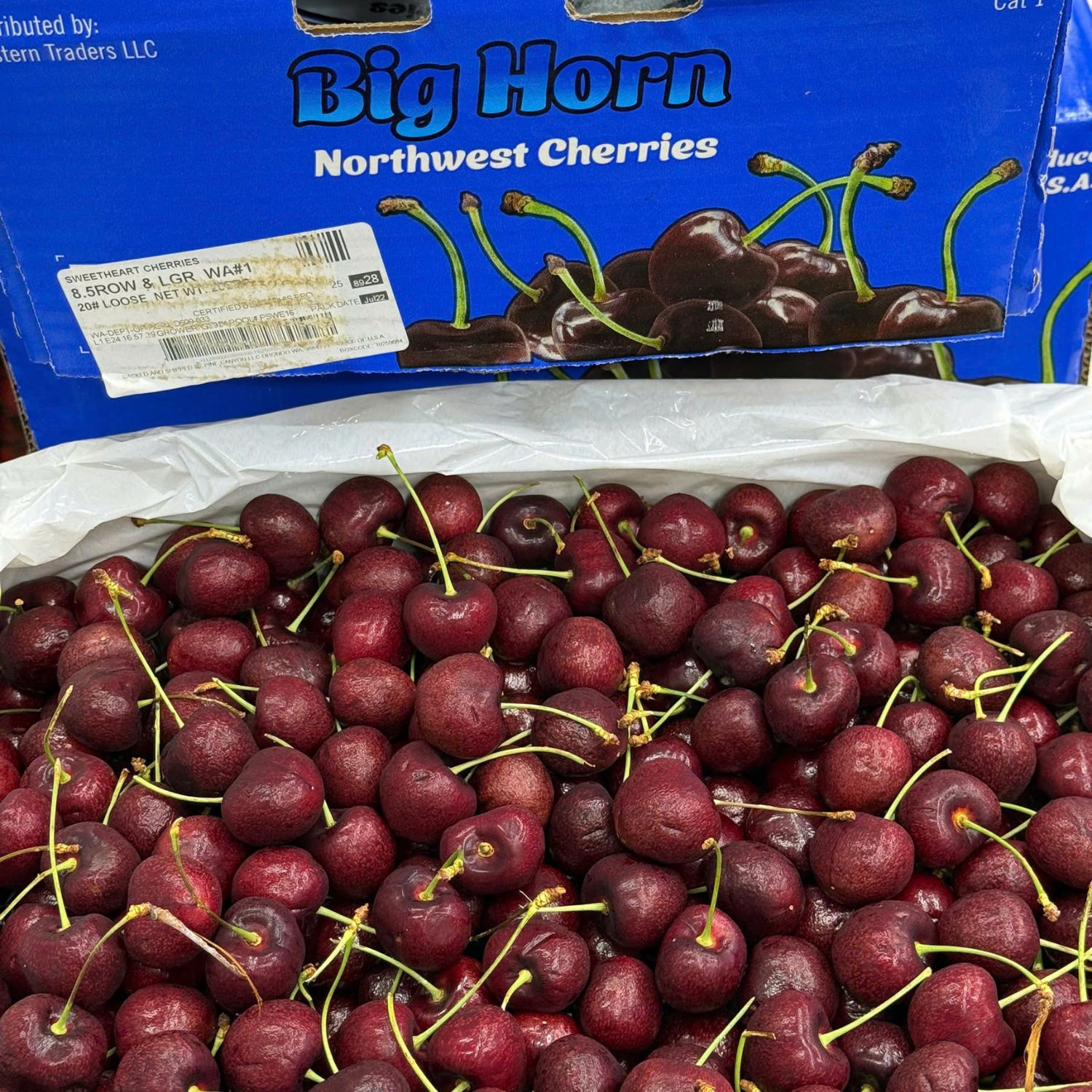 Ưu tiên mua tại địa chỉ uy tín của Maccaca.vn để tránh hàng kém chất lượng