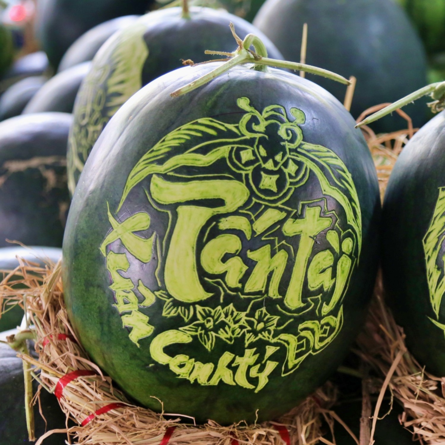 Nên bảo quản dưa khắc chữ ở nơi thoáng mát, tránh ánh nắng